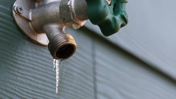 Best Local Plumber Services  in Boscobel, WI