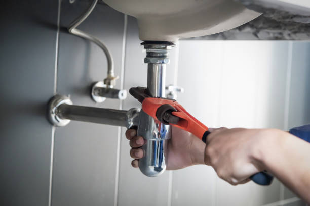 Best Plumbing Services Near Me  in Boscobel, WI